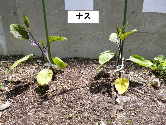 ブログ用６