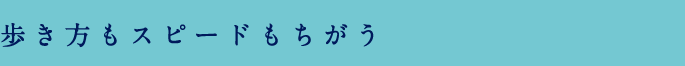 歩き方もスピードもちがう